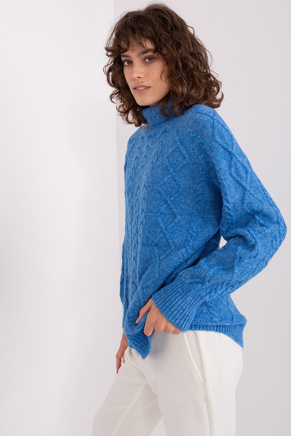  Rollkragenpullover model 189230 AT 